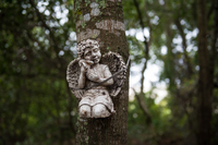 Angel statue tied to a tree seems to be watching over the now empty camp.